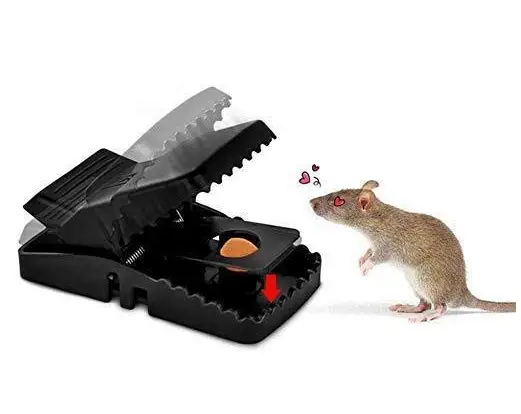 3Pcs- Mouse Killer Trap - Image 2