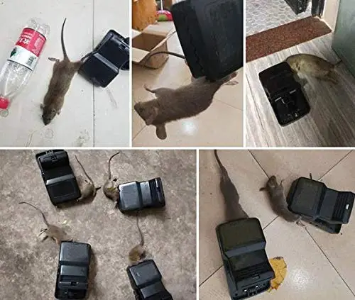 3Pcs- Mouse Killer Trap - Image 3