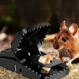 Mouse Killer Trap