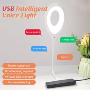 USB Smart Voice Control Led Light