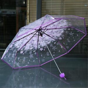 Transparent Umbrella Purple