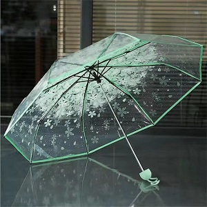 Transparent Umbrella Green/Mint